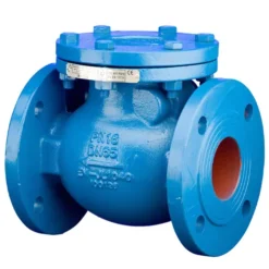 Van một chiều DN65