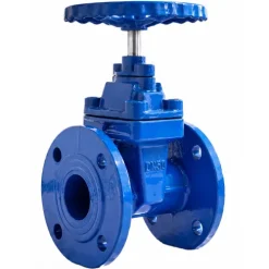 Van cổng DN50