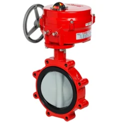 Van bướm điều khiển điện Bray