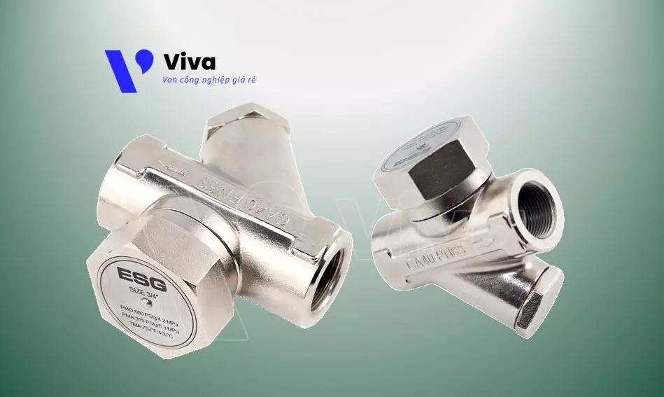 Bẫy hơi đồng tiền thân inox