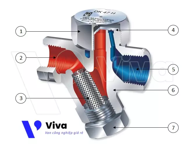 Cấu tạo của bẫy hơi đồng tiền