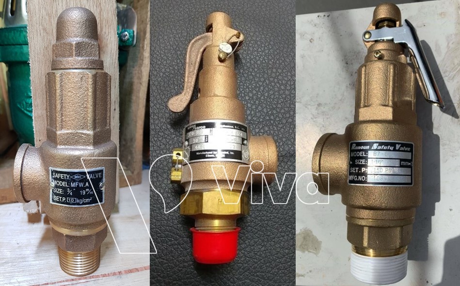 Real-life Image of Bronze Safety Valves
