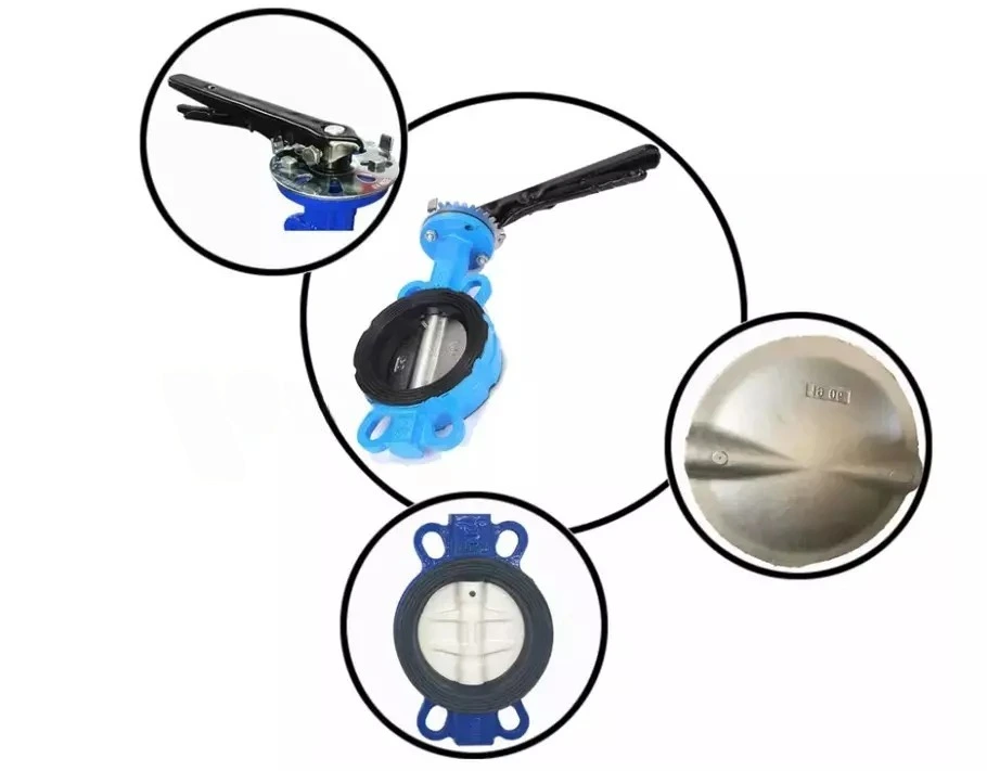 Van bướm DN300 dạng kẹp