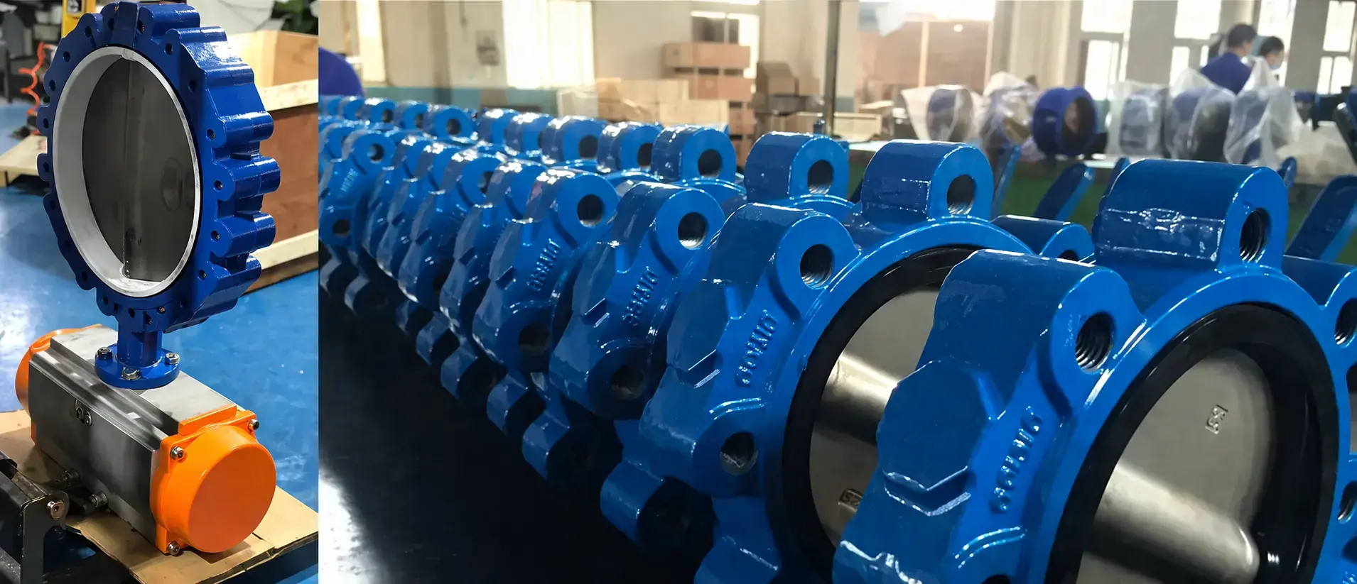 Van bướm dạng Lug Malaysia