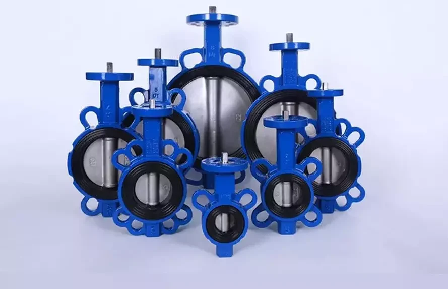 Giới thiệu van bướm thân gang cánh inox