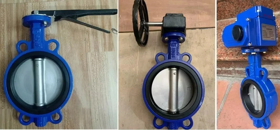 Van bướm Malaysia dạng kẹp