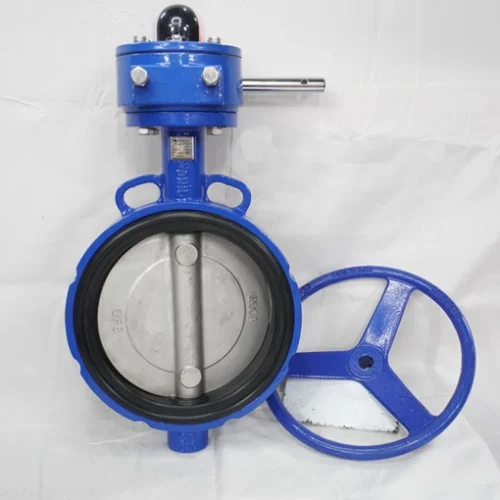 Van bướm DN300
