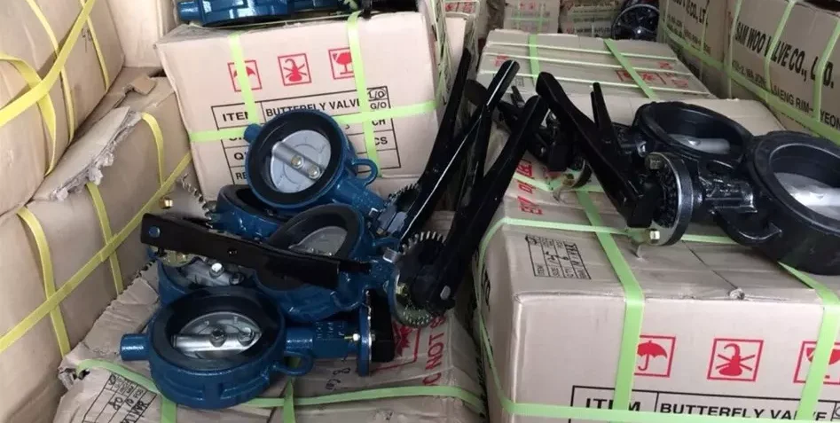 Van bướm Joeun Hàn Quốc