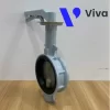 Van bướm Kitz