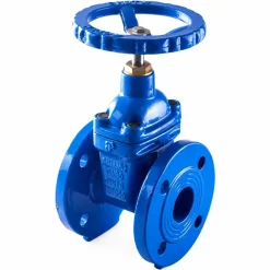 Van cổng DN80 nối bích