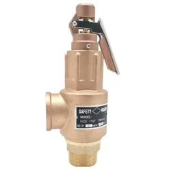 Bronze safety valve