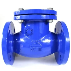 DN50 Check valve