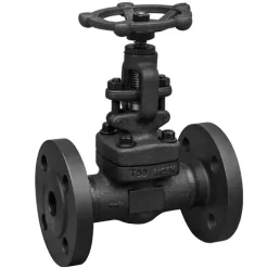 High pressure globe valve