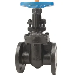 Kitz gate valve