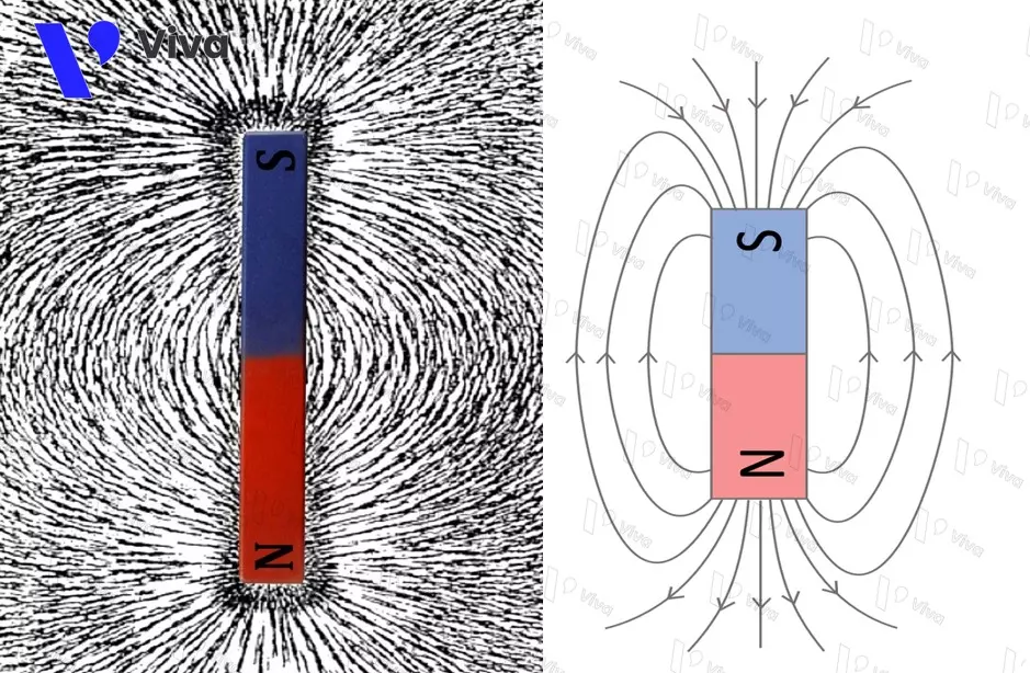 Magnetic field existing around a magnet