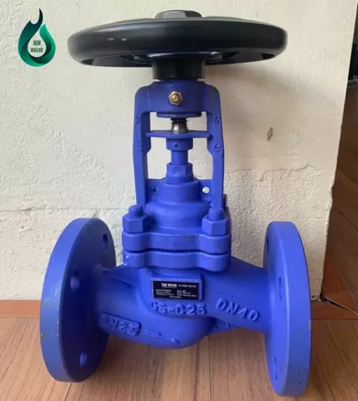 DN40 globe valve