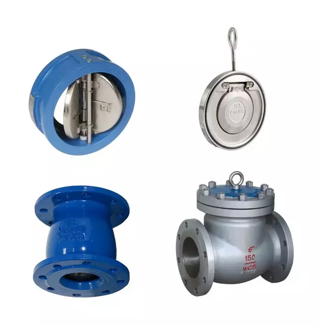 Check Valve
