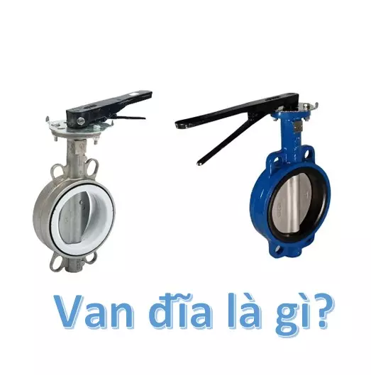 Van đĩa là gì