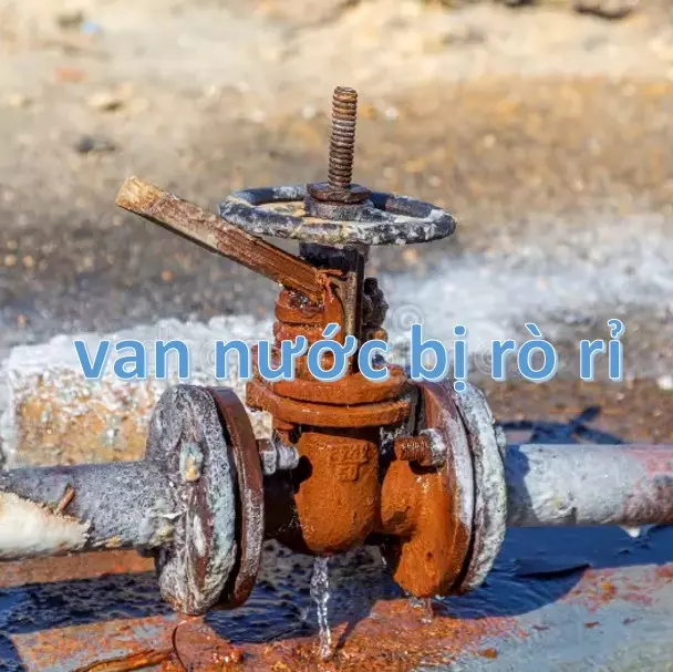 Van nước bị rò rỉ