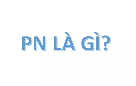 PN là gì