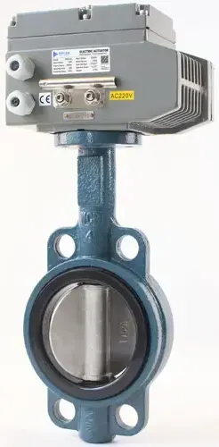 Van bướm gang điện EMEB-OCW